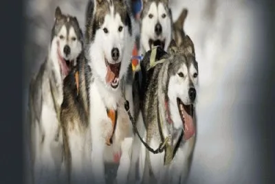 jan25 jigsaw puzzle