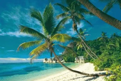 Paradise jigsaw puzzle