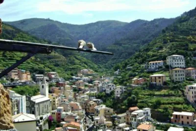 Cinque Terre Town jigsaw puzzle