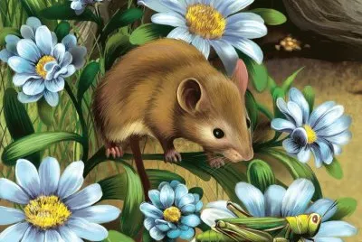 animais