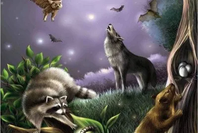 lobo