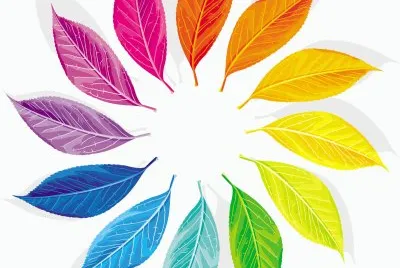 color flowers