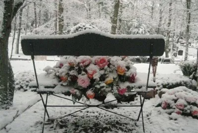 winter