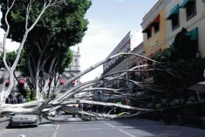 cosas que suceden jigsaw puzzle