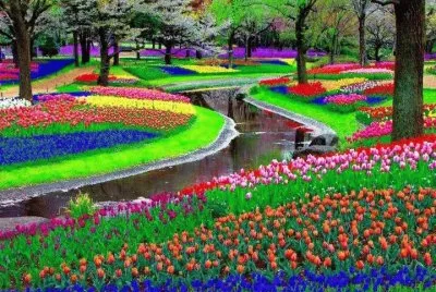 jardin jigsaw puzzle