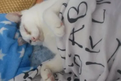 æ—©å®‰~