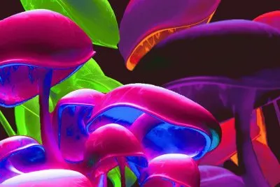 Colorful Mushrooms jigsaw puzzle