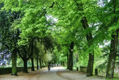 Relaxing bike ride