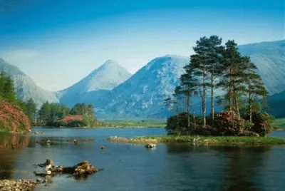 jan28 jigsaw puzzle