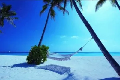 sea shore  1 jigsaw puzzle