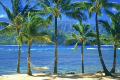 sea shore 8 jigsaw puzzle