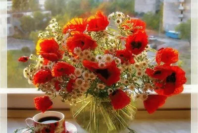 Poppies jigsaw puzzle