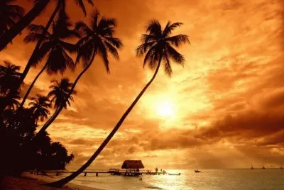 Beautiful Sunset jigsaw puzzle