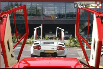 FaraÃ³n jigsaw puzzle