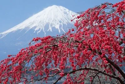 Mount Fuji  Japan jigsaw puzzle