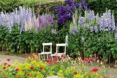 Flower Garden jigsaw puzzle