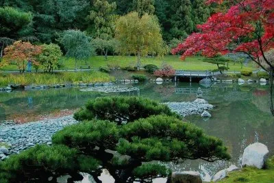 lago