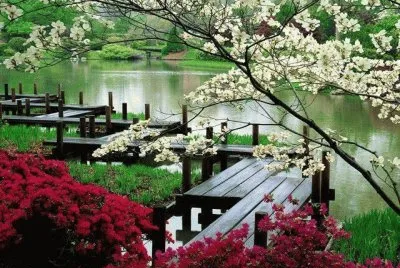 lago
