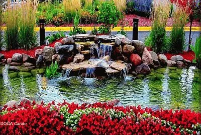 lago