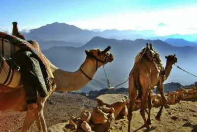 Descent from Sinai