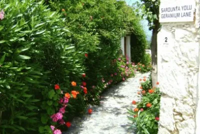 Geranium Lane jigsaw puzzle