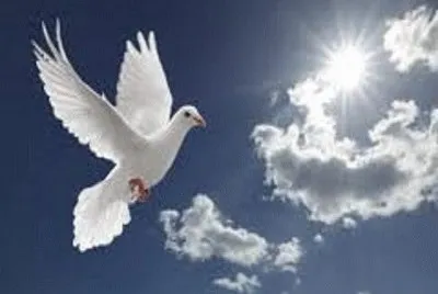 PAZ