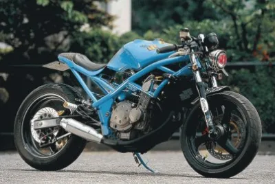 FaraÃ³n jigsaw puzzle