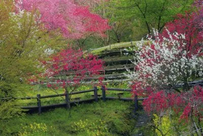 JardÃ¬ jigsaw puzzle