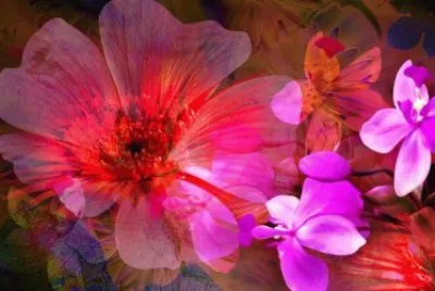 Digital Flowers