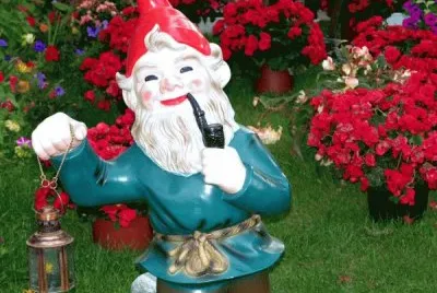 Gnome
