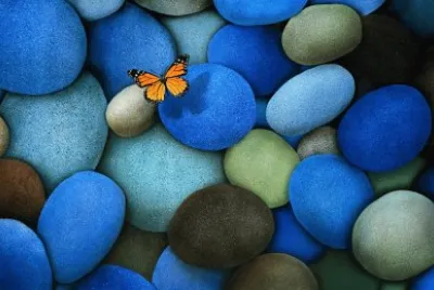 Blue with Butterfly jigsaw puzzle