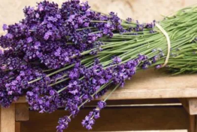 Lavender Bouqet jigsaw puzzle