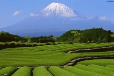 lugares jigsaw puzzle