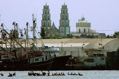 barcos