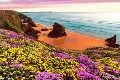 natureza