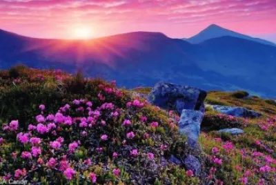 natureza
