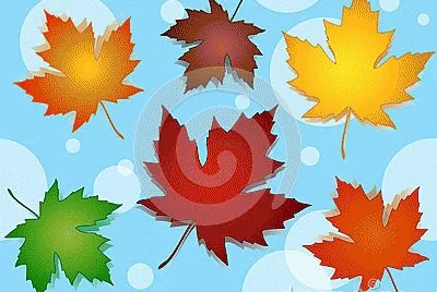 Foto jigsaw puzzle