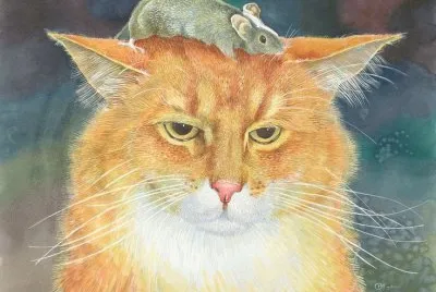 Gatos