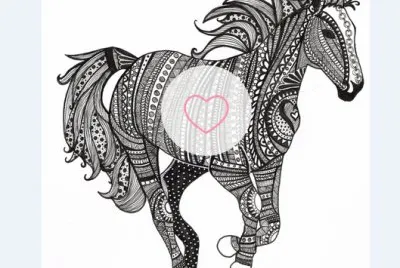 Caballo blanco y negro