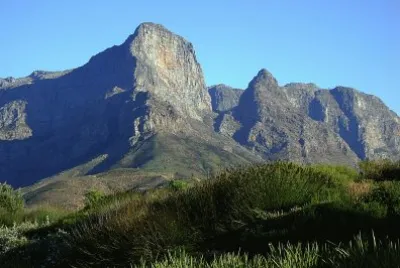 Cape winelands