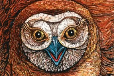 Pencil Drawing
