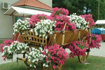 CaÃ§amba com as flores