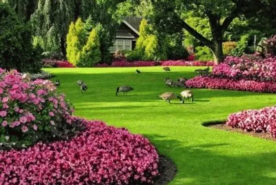 paisagem