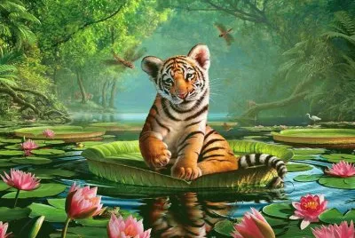 animais