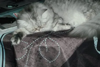 chat