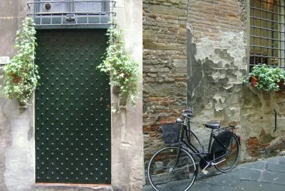 Lucca look