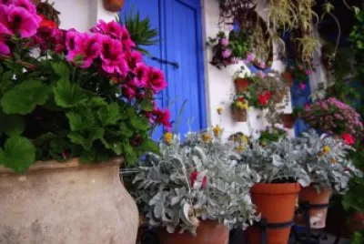 Patio Marroquies  Spain