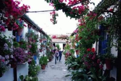 Colourful Street Andalucia  Spain