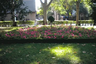 MADRID