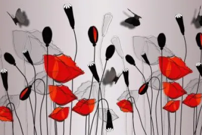 Poppies, shadow and Butterflies